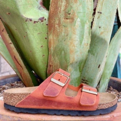 Burnt Orange Birkenstock Women's Arizona Sandal - 1026592 - Blair's Western Wear in Marble Falls